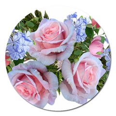 Roses Plumbago Flowers Fragrant Magnet 5  (round) by Pakrebo