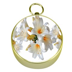 Lilies White Belladonna Gold Compasses by Simbadda