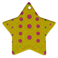 Bloom On In  The Sunshine Decorative Star Ornament (two Sides) by pepitasart