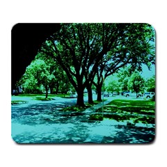 Hot Day In Dallas 5 Large Mousepads by bestdesignintheworld