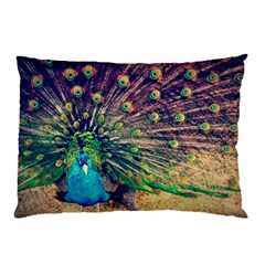 Bird Biology Fauna Material Chile Peacock Plumage Feathers Symmetry Vertebrate Peafowl Pillow Case (two Sides)