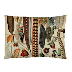 Feathers Birds Vintage Art Pillow Case (two Sides)
