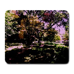 Hot Day In Dallas 3 Large Mousepads by bestdesignintheworld