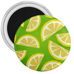 Lemon Fruit Healthy Fruits Food 3  Magnets