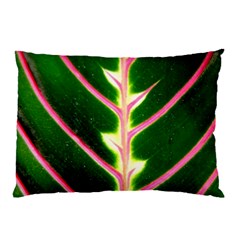 Exotic Green Leaf Pillow Case (two Sides)