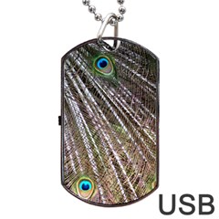 Peacock Feathers Pattern Colorful Dog Tag Usb Flash (two Sides)