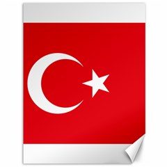 National Cockade Of Turkey Canvas 36  X 48  by abbeyz71