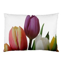 Tulips Spring Bouquet Pillow Case (two Sides) by picsaspassion