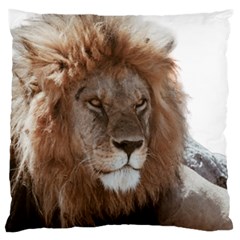 Lion s Focus Large Cushion Case (one Side)