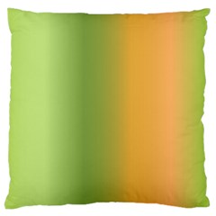 Green Orange Shades Large Cushion Case (one Side) by designsbymallika