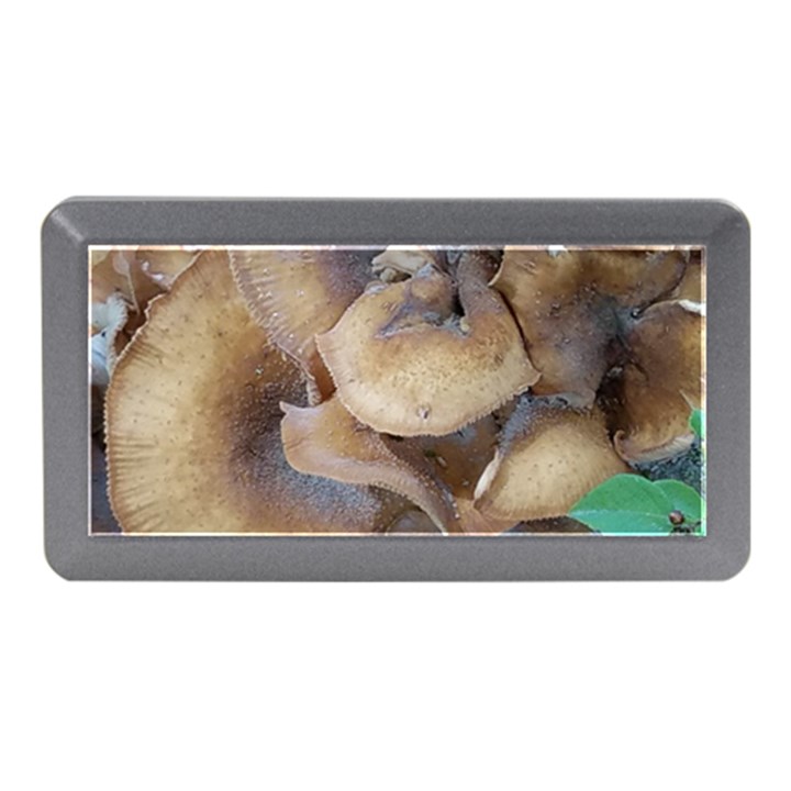 Close Up Mushroom Abstract Memory Card Reader (Mini)