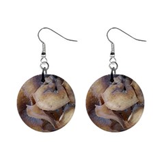 Close Up Mushroom Abstract Mini Button Earrings by Fractalsandkaleidoscopes
