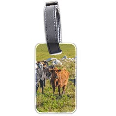 Cows At Countryside, Maldonado Department, Uruguay Luggage Tag (two Sides) by dflcprints
