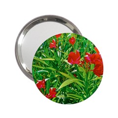 Red Flowers And Green Plants At Outdoor Garden 2 25  Handbag Mirrors by dflcprintsclothing