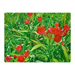Red Flowers And Green Plants At Outdoor Garden Double Sided Flano Blanket (mini)  by dflcprintsclothing