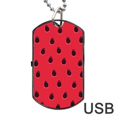 Seamless Watermelon Surface Texture Dog Tag Usb Flash (two Sides)