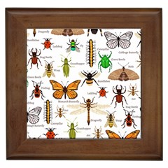 Insects Seamless Pattern Framed Tile by Vaneshart
