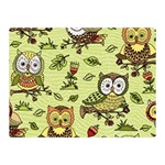 Seamless pattern with flowers owls Double Sided Flano Blanket (Mini) 
