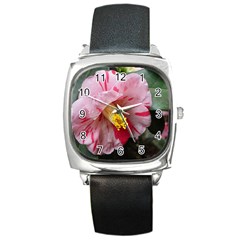 Striped Pink Camellia Ii Square Metal Watch by okhismakingart