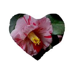 Striped Pink Camellia Ii Standard 16  Premium Heart Shape Cushions by okhismakingart