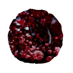 Red Floral Standard 15  Premium Flano Round Cushions by Sparkle