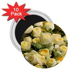 Yellow Roses 2.25  Magnets (10 pack) 