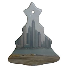 P1020022 Christmas Tree Ornament (two Sides) by 45678