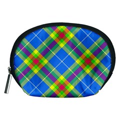 Clown Costume Plaid Striped Accessory Pouch (medium) by SpinnyChairDesigns