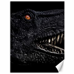 Trex Dinosaur Head Dark Poster Canvas 36  X 48  by dflcprintsclothing