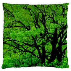 Big Trees, El Leoncito National Park, San Juan, Argentina Large Flano Cushion Case (two Sides) by dflcprintsclothing