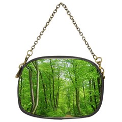 In The Forest The Fullness Of Spring, Green, Chain Purse (two Sides)