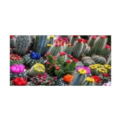 Cactus Yoga Headband by Sparkle