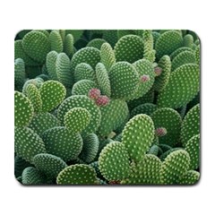 Green Cactus Large Mousepads by Sparkle