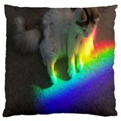 Rainbowcat Large Cushion Case (two Sides) by Sparkle