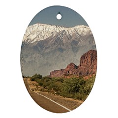Empty Highway Landscape, La Rioja, Argentina Ornament (oval) by dflcprintsclothing