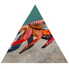 Colored Crab, Galapagos Island, Ecuador Wooden Puzzle Triangle by dflcprintsclothing