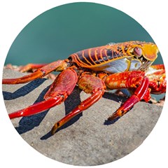 Colored Crab, Galapagos Island, Ecuador Wooden Puzzle Round by dflcprintsclothing