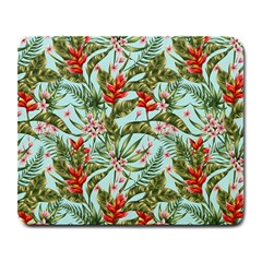 Tropical Flowers Large Mousepads by goljakoff