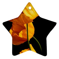 Yellow Poppies Star Ornament (two Sides) by Audy