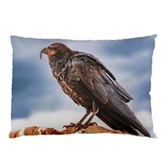 Black Crow Standing At Rock Pillow Case by dflcprintsclothing