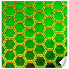 Hexagon Windows Canvas 12  X 12  by essentialimage