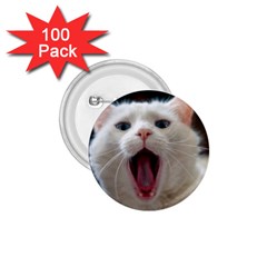 Wow Kitty Cat From Fonebook 1 75  Buttons (100 Pack)  by 2853937