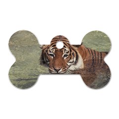 Swimming Tiger Dog Tag Bone (two Sides) by ExtraGoodSauce
