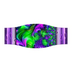 Feathery Winds Stretchable Headband by LW41021