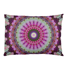 Sweet Cake Pillow Case (two Sides) by LW323