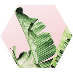 Palm Leaves On Pink Wooden Puzzle Hexagon by goljakoff
