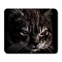 Creepy Kitten Portrait Photo Illustration Large Mousepads by dflcprintsclothing