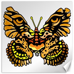 Bigcat Butterfly Canvas 12  X 12  by IIPhotographyAndDesigns