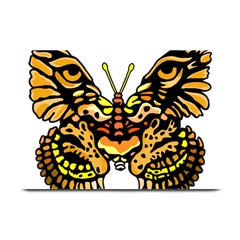 Bigcat Butterfly Plate Mats by IIPhotographyAndDesigns