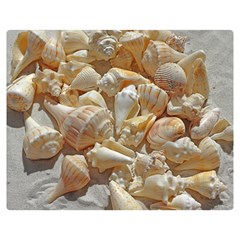 Sea-shells Bg Double Sided Flano Blanket (medium)  by SomethingForEveryone
